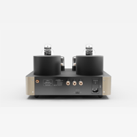 Fezz Audio Mira Ceti Mono Power Amplifier variant 27