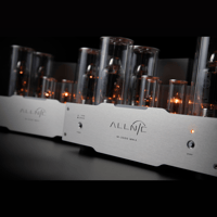 Allnic/ZL Technologies M-3000 mk3 variant 5