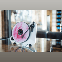 Pro-ject Audio Systems - USA VT-E BT variant 4