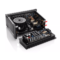 Mark Levinson Nº534 variant 8