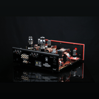 SW1x AMP III “Trinity” Integrated Amplifier variant 14