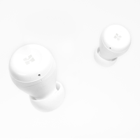 Hifiman TWS450 variant 2