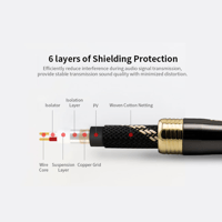 Cayin CS-6RCA variant 4