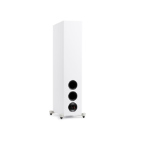 MartinLogan Motion Foundation F1 variant 21