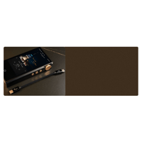 Cayin CS-C2C variant 4