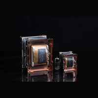 SW1x Audio Transformers variant 12