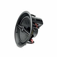 Focal Littora 1000 ICW 10 variant 2