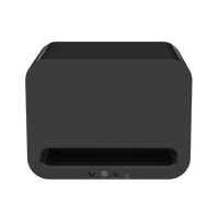 WiiM Sub Pro variant 2