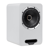 Fyne Audio Cubitt 5 variant 18