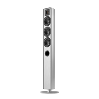 Piega usa Ace 50 Floorstanding Speakers [Pair] variant 2