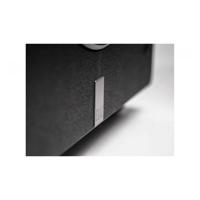 ELAC PS250 variant 8