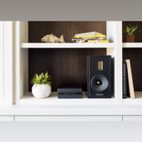 MartinLogan Forte variant 14