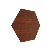 Vicoustic Vixagon VMT variant 1