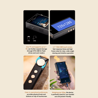 Cayin N3Ultra variant 14