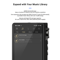 Cayin N6ii variant 12