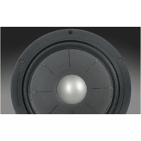 Davis Acoustics 20DE8 variant 3