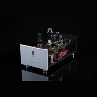 SW1x MPA IV “Aurora” Mono Power Amplifier variant 10