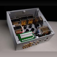 Ypsilon Electronics PST-100 MK2 variant 4