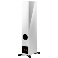 Dynaudio Evoke 30 variant 9