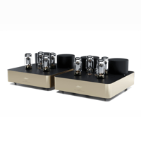 Fezz Audio Olympia Mono Power Amplifier variant 24