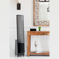 MartinLogan Unison variant 15