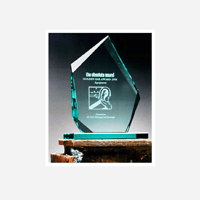 Dynavector In Persuit of Perfection for Moving Coil Cartridge variant 2