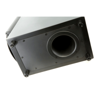 MartinLogan ElectroMotion  FX2 variant 19