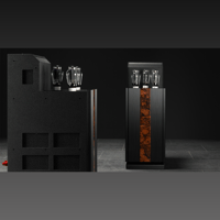 Octave Audio Jubilee 300 B variant 3