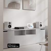 Arylic LA50 Streaming Amplifier variant 7