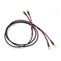 Audience Studio ONE XLR variant 3