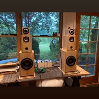 Blumenstein Audio Marlin 3" Studio Monitors variant 6