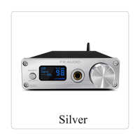 FX Audio D01 variant 4