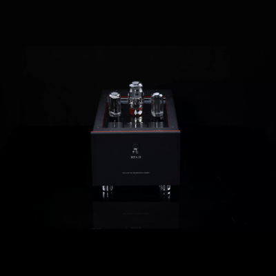 SW1x MPA II “Morpheus” Mono Power Amplifier