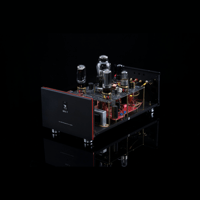 SW1x MPA V “Hercules” SE Mono Power Amplifier variant 3