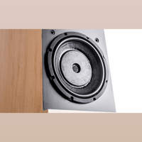 Vandersteen Treo CT variant 6