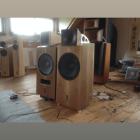 Blumenhofer Acoustics Genuin FS 1 MK 3 variant 8