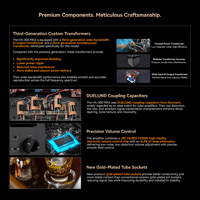 Cayin HA-300 MK3 variant 10