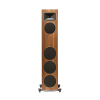 MartinLogan Motion Foundation F2 variant 4