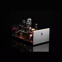 SW1x MPA III “Oracle” Mono Power Amplifier variant 12