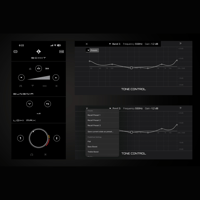 Schiit Audio Loki Max F variant 5
