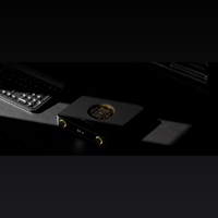 FiiO K13 R2R variant 14