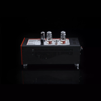 SW1x MPA II “Kronos” PP Mono Power Amplifier variant 4