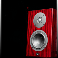 Cayin T30 MK2 variant 8