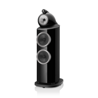 Bowers & Wilkins 802 D4 variant 2