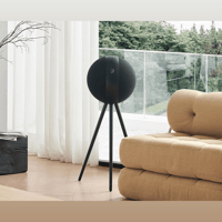 Elipson W35 Xi variant 6