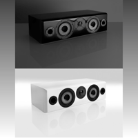 Vienna Acoustics maestro grand variant 1