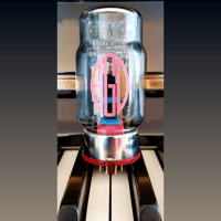 AGD Production Vivace variant 7