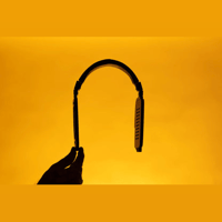 SJY Audio Zeph variant 4