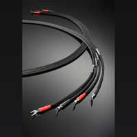 Jorma Audio Trinity variant 2