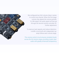 Cayin N6iii variant 13